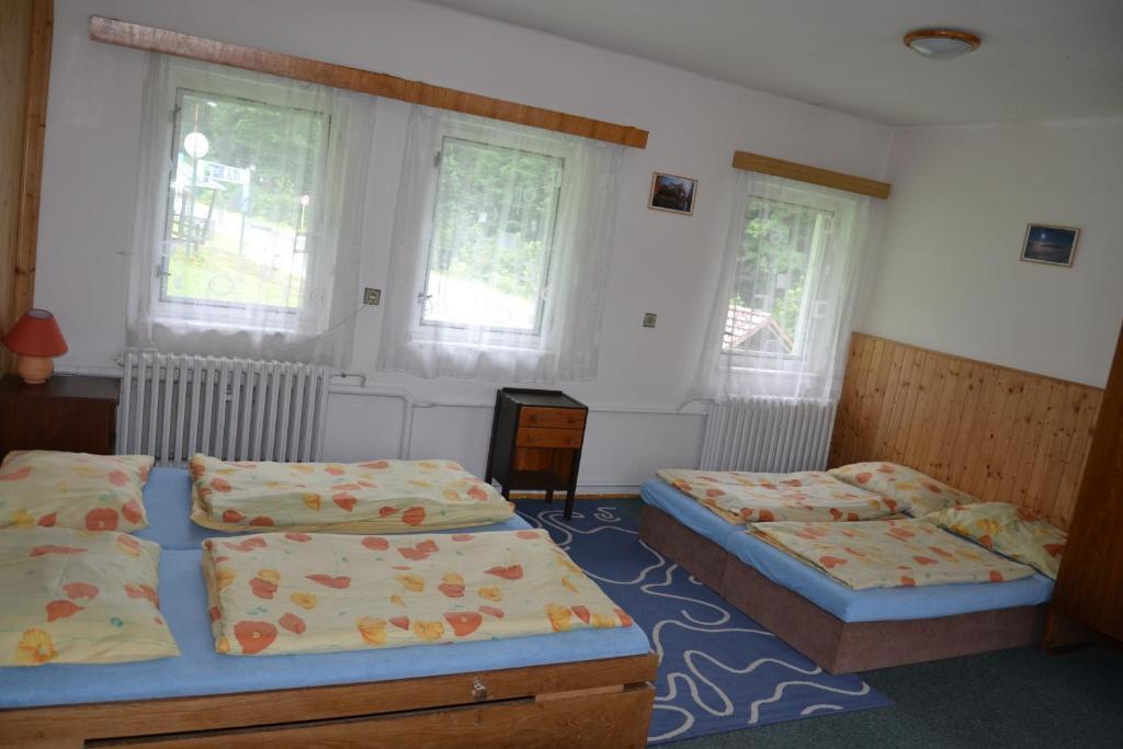 Hostel Fortuna Špindlerŭv Mlýn الغرفة الصورة